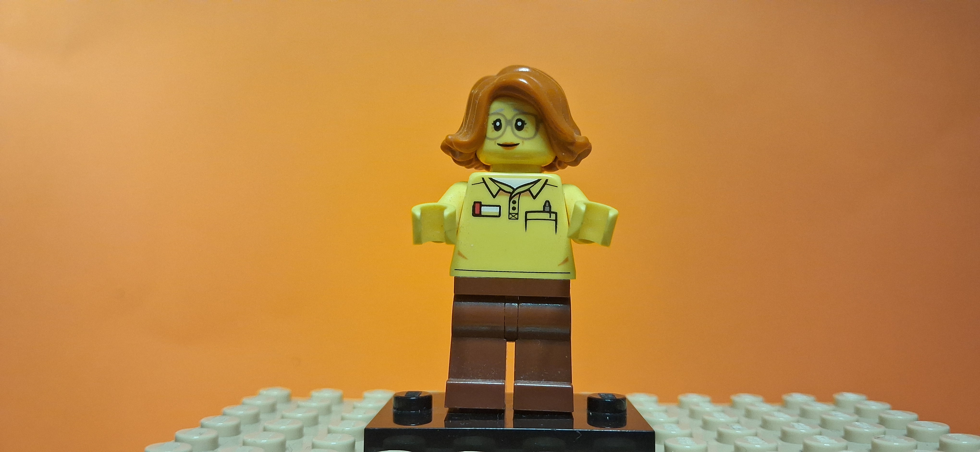 Minifig 91